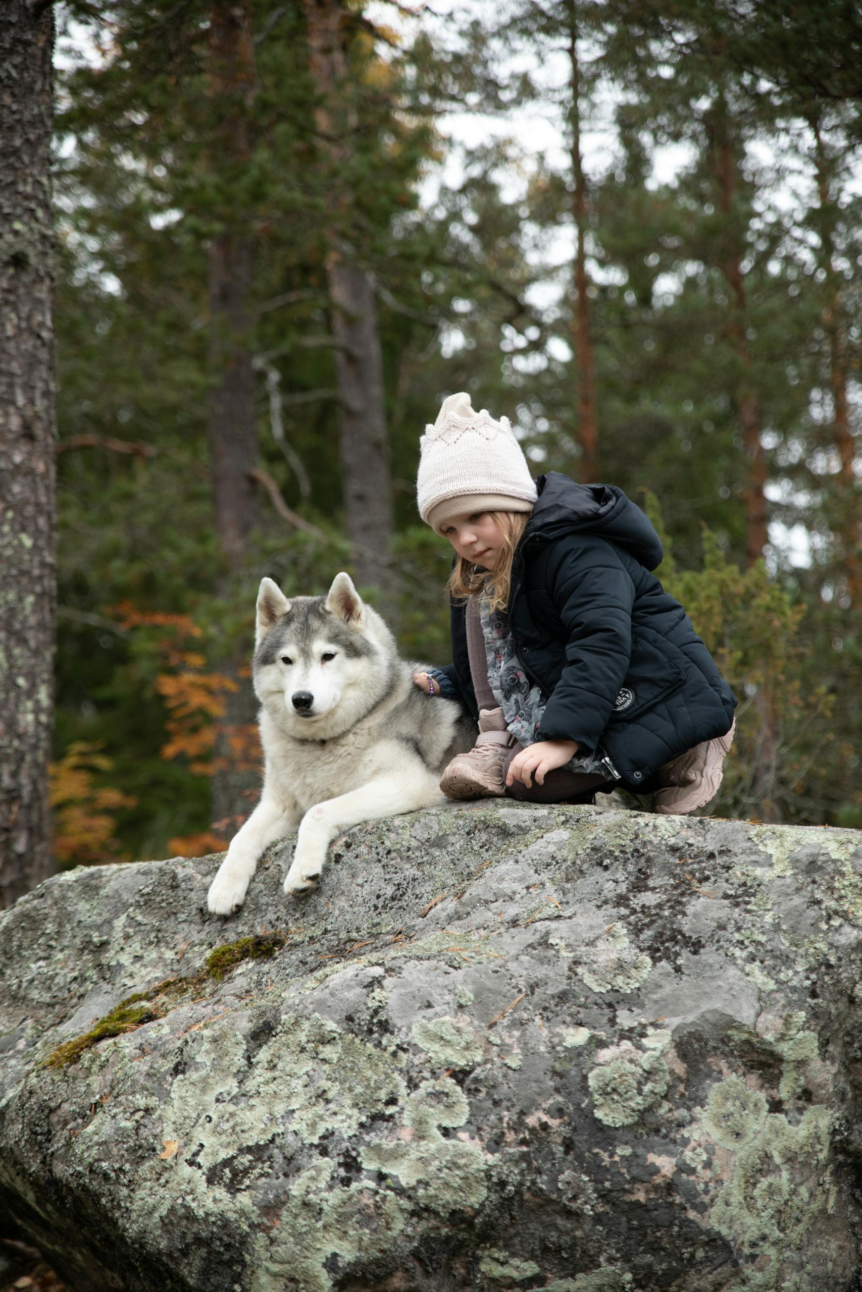 A child and husky dog on a rock in a serene forest setting.